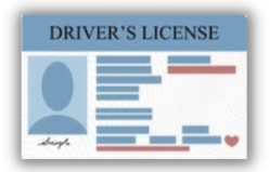 Sample Drivers License Front